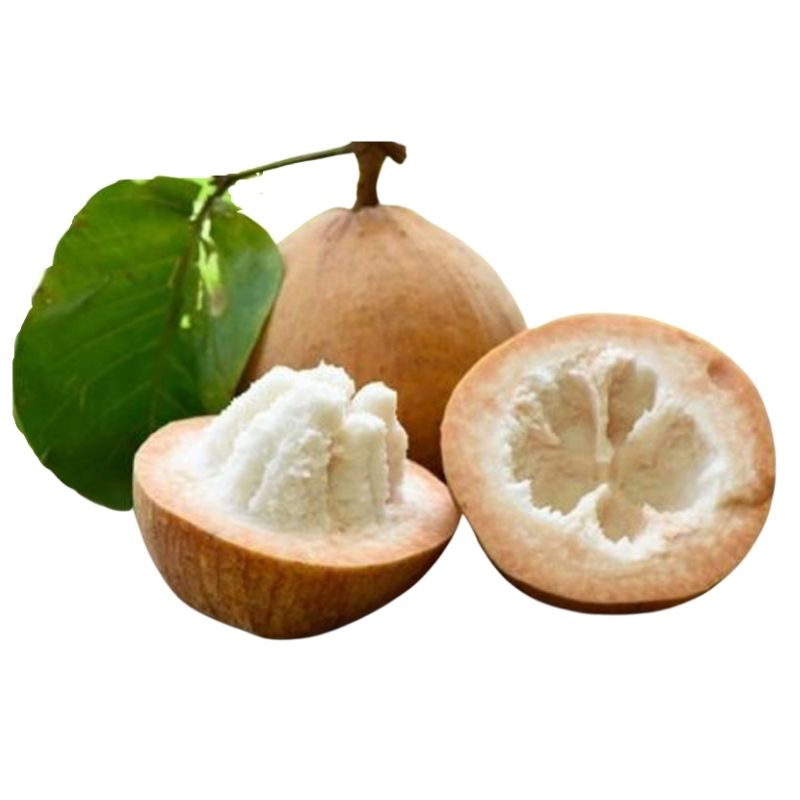 Santol