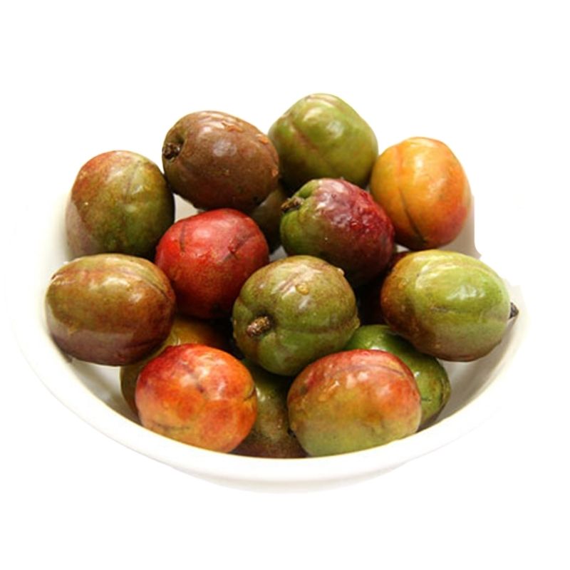 Seneguelas (Seasonal Only)