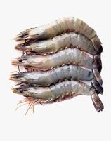 Prawn (Sugpo)